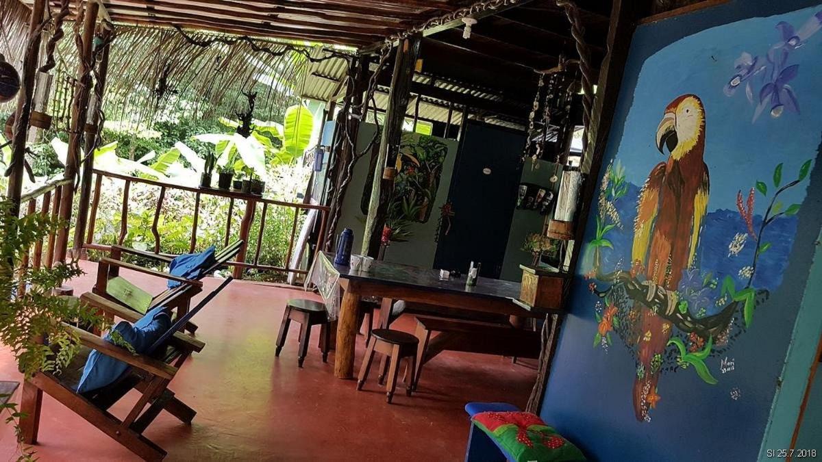 Vista Alta Ecolodge Bahia Drake Drake Bay Exterior photo