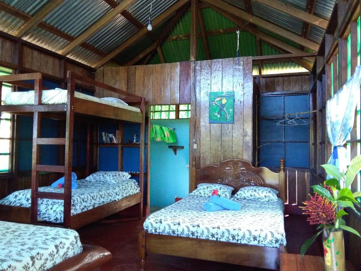 Vista Alta Ecolodge Bahia Drake Drake Bay Exterior photo