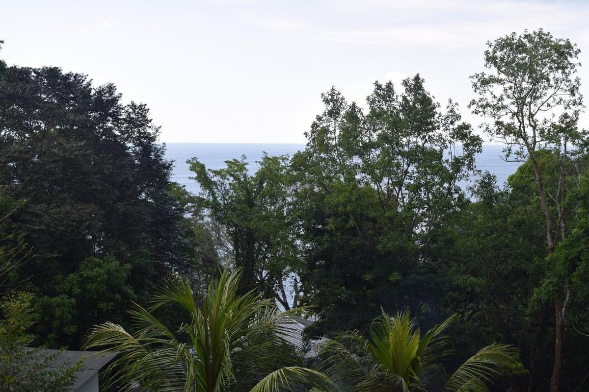 Vista Alta Ecolodge Bahia Drake Drake Bay Exterior photo