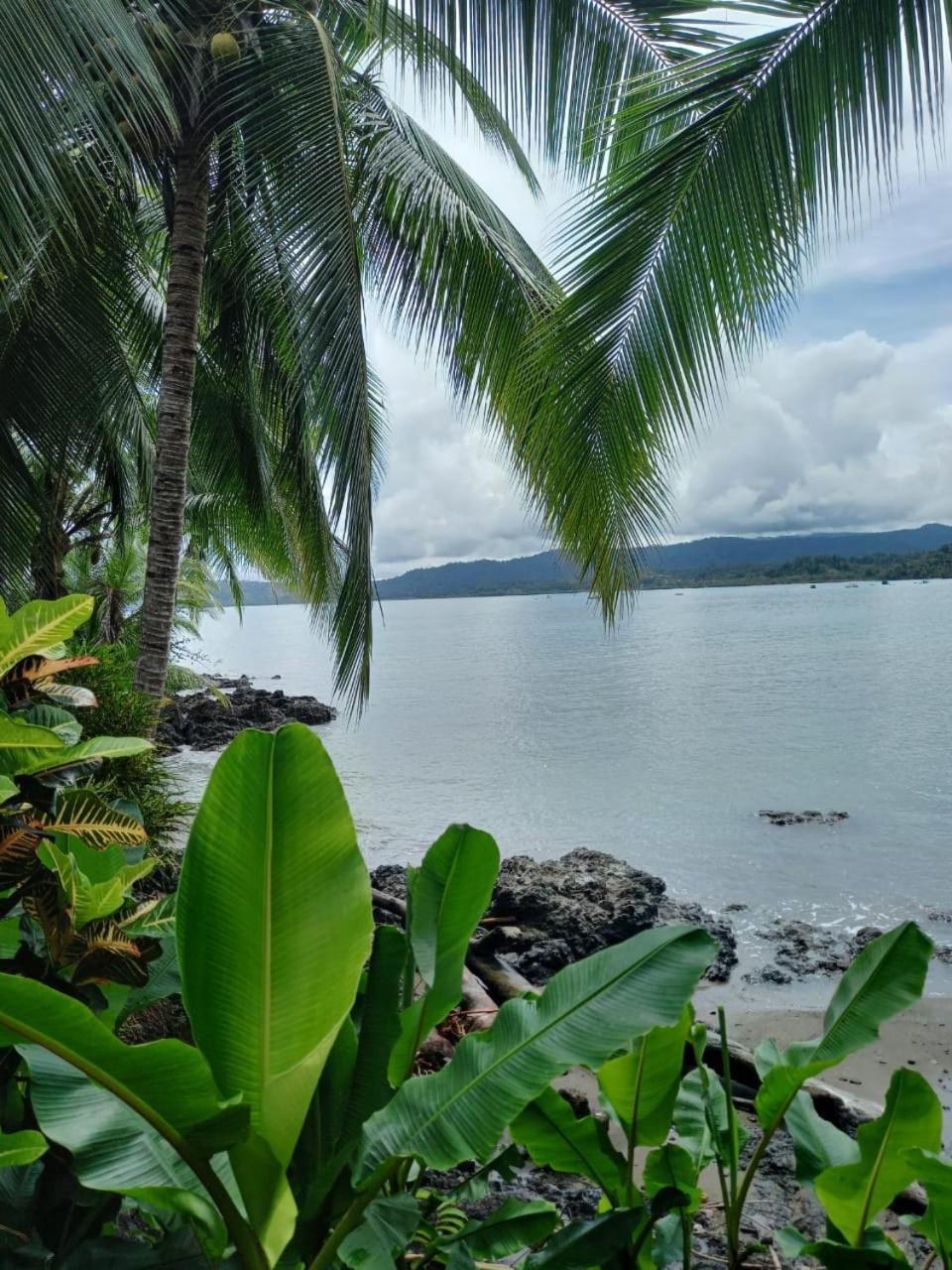 Vista Alta Ecolodge Bahia Drake Drake Bay Exterior photo