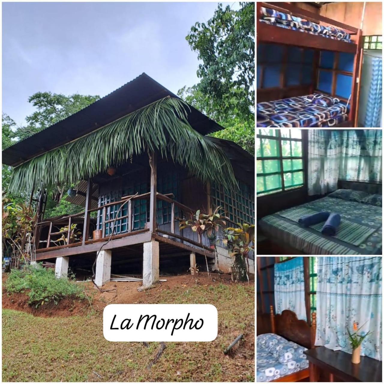 Vista Alta Ecolodge Bahia Drake Drake Bay Exterior photo