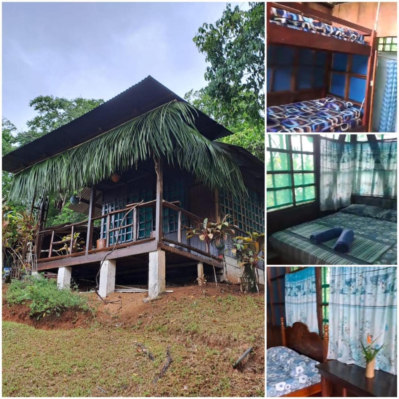 Vista Alta Ecolodge Bahia Drake Drake Bay Exterior photo